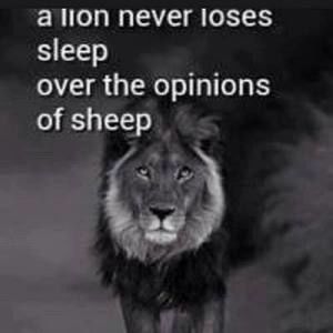 Meet your Posher, Joe